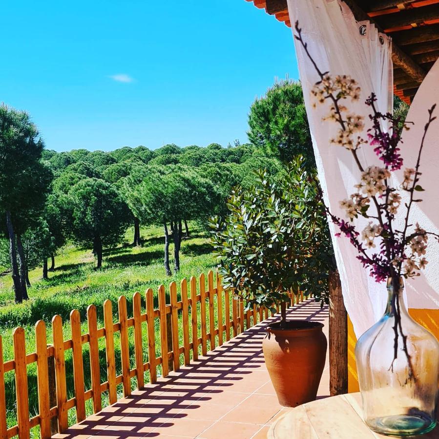 Herdade Do Rio Torto 포르텔 외부 사진