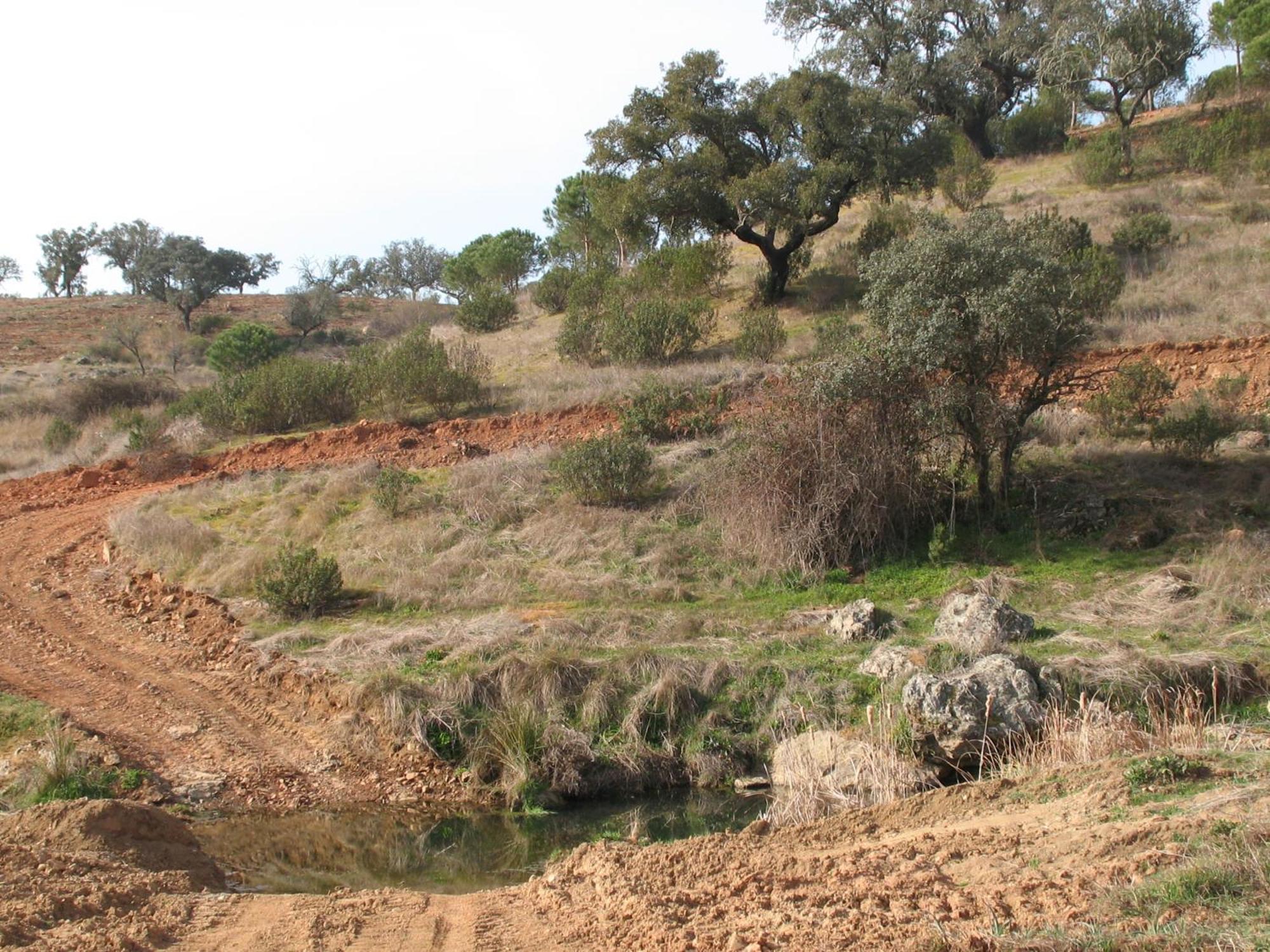 Herdade Do Rio Torto 포르텔 외부 사진